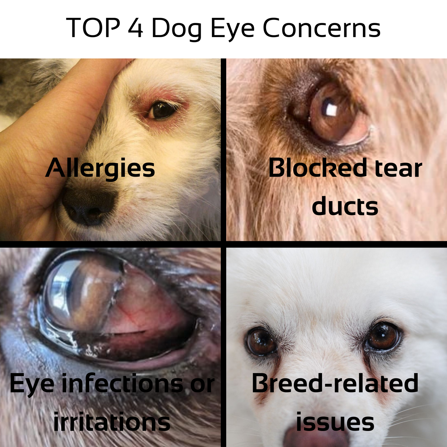 PawFy™ Dog Eye Wipes
